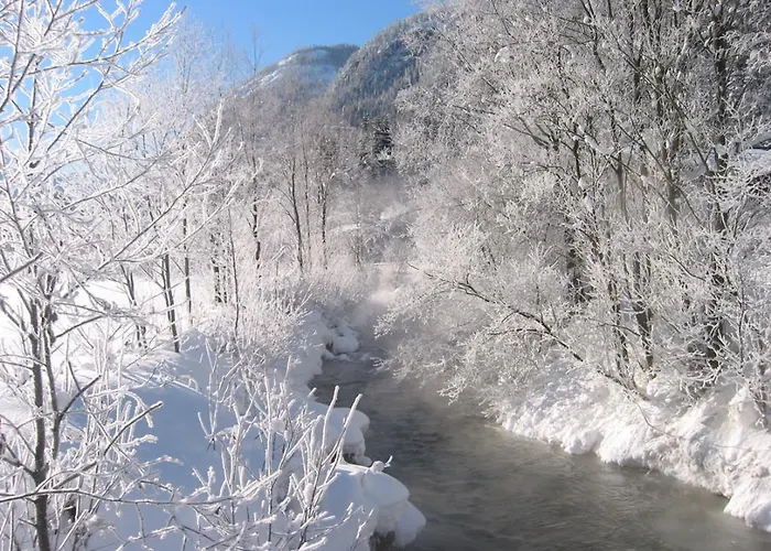 Oda ve Kahvaltı 7 Flachau