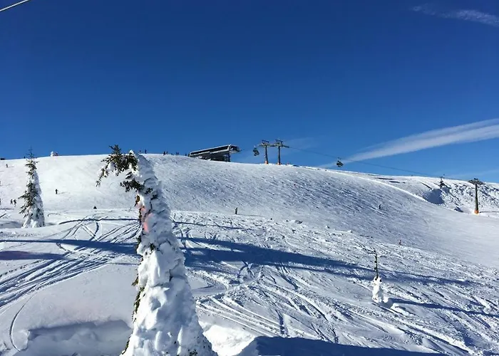 Oda ve Kahvaltı 7 Flachau