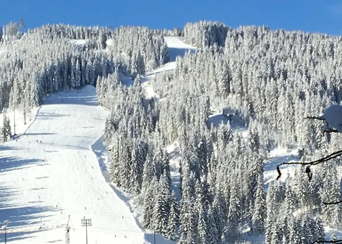 Oda ve Kahvaltı 7 Flachau