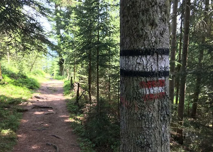 7 Oda ve Kahvaltı Flachau